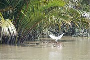 Bangladesh2015_57