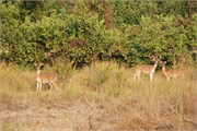 Bangladesh2015_65