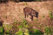Bangladesh2015_79