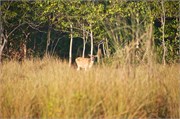 Bangladesh2015_84