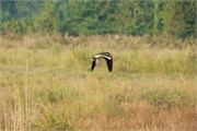 Bangladesh2015_89