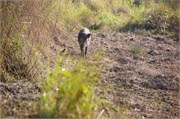 Bangladesh2015_98
