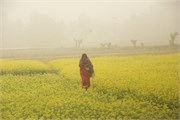 Bangladesh2015_137