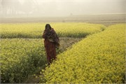 Bangladesh2015_138