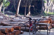 Bangladesh2015_167