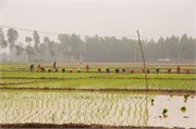 Bangladesh2015_28
