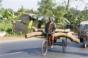 Bangladesh2015_65