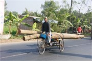 Bangladesh2015_66