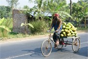 Bangladesh2015_71
