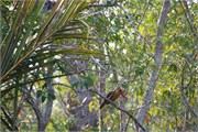 Bangladesh2015_116
