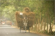 Bangladesh2015_47