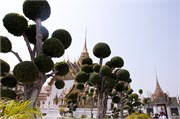 ImperialPalace45