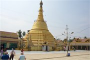 Botataung2015_16
