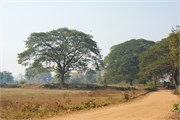 Pyay2015_40