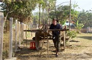 Pyay2015_41
