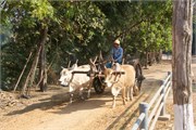 Pyay2015_45