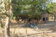 Pyay2015_6