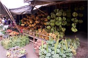 Magway_18