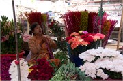 Magway_40