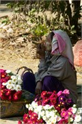 Sale_Burma_29