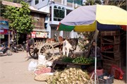 Sale_Burma_35