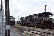 9_MuscleShoals