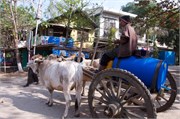 094-Magway_53