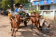 096-Magway_80
