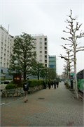 032-Kyoto