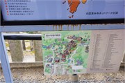 111-Kyoto
