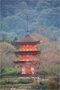 118-Kyoto