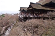 134-Kyoto