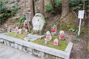 150-Kyoto