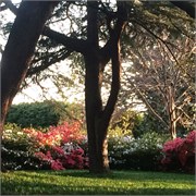 24_ColumbiaSC-