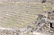 533_DSC_0796
