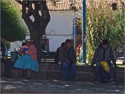 557_IMG_6449