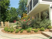 132_Louisville