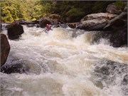 161_Chattooga4