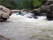 235_Chattooga4