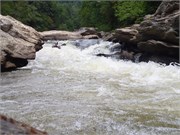239_Chattooga4