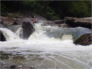 335_Chattooga4