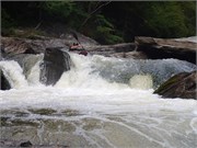 336_Chattooga4