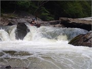 337_Chattooga4