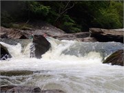 363_Chattooga4