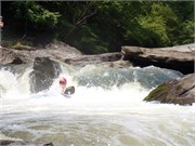 431_Chattooga4