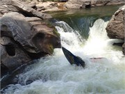 b92_Chattooga4