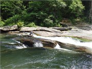 c156_Chattooga4