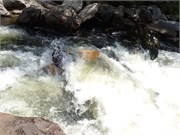 c306_Chattooga4