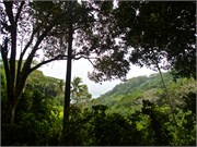Raiatea21