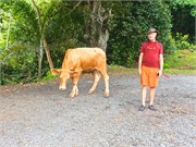 Raiatea22